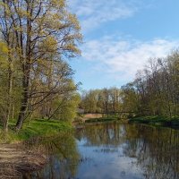 Майский день у реки.. :: Татьян@ Ивановна