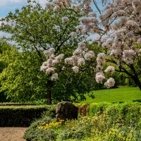 Весенний этюд. :: Lucy Schneider 