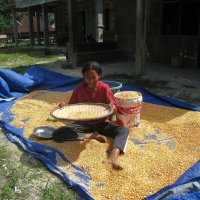 Девушка с кукурузой (1 часть). :: unix (Илья Утропов)