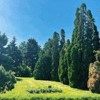 Краса природы :: Георгиевич Краса природы :: Георгиевич