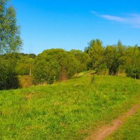 Природа Смоленщины (репортаж из поездки по области). :: Милешкин Владимир Алексеевич 