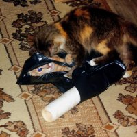 Соня и Стёпа :: Сергей Кочнев