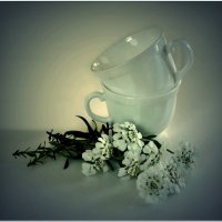 УТРО... :: Elvira E. 