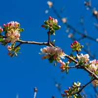 *** :: Дмитрий Лупандин