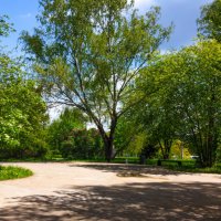 Парк. :: Владимир Безбородов Парк. :: Владимир Безбородов