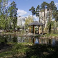 В парке "Золотые пески" :: Евгений Шафер В парке "Золотые пески" :: Евгений Шафер