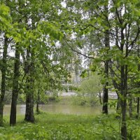 Зеленый май :: ZNatasha -