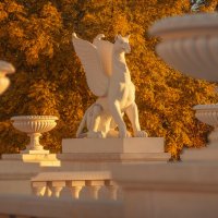 Грифоны Большой Митридатской лестницы. :: Анатолий Щербак