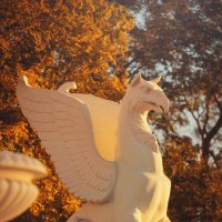 Грифоны Большой Митридатской лестницы. :: Анатолий Щербак