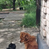 Вопрос :) :: Наталья Вопрос :) :: Наталья