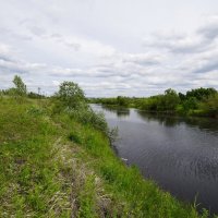 По Турье... :: Николай Гирш