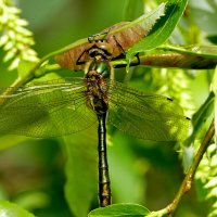 из снятого позавчера 2 :: Александр Прокудин из снятого позавчера 2 :: Александр Прокудин
