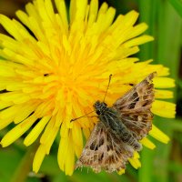 из снятого позавчера 5 :: Александр Прокудин из снятого позавчера 5 :: Александр Прокудин