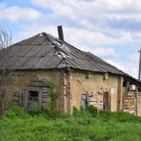 Без хозяев! :: Валентина Нефёдова Без хозяев! :: Валентина Нефёдова