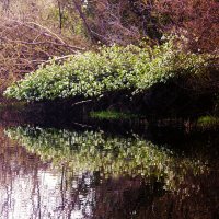 ** :: Сергей Кочнев