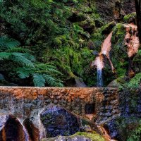 Magic Azores 58 :: Arturs Ancans