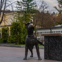 пес :: Дмитрий Лупандин