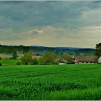 СЕЛЬСКИЙ МОТИВ... :: Elvira E. 