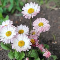 ,,, :: Сергей Тимоновский ,,, :: Сергей Тимоновский