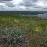 цветущий май на Молодецком  кургане :: Ирина Милонова