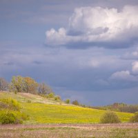 **** :: Елизавета .