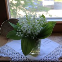 Мой дом. :: Венера Чуйкова