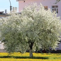 Мой город. :: Венера Чуйкова