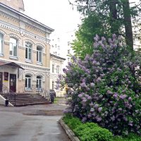 Во дворе школы :: Galina Solovova Во дворе школы :: Galina Solovova