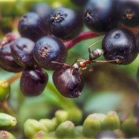 Деловые :: AZ east3 Деловые :: AZ east3