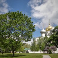 Новодевичий монастырь :: Andrey Lomakin