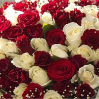 Прекрасной недели,друзья! :: Нина Андронова Прекрасной недели,друзья! :: Нина Андронова