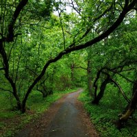 * * * :: Андрей Лукьянов