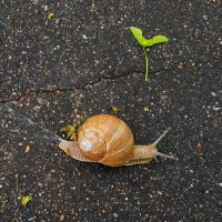 Ну, очень не спеша :: Андрей Лукьянов Ну, очень не спеша :: Андрей Лукьянов