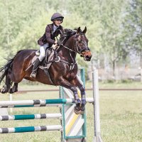 Конкур :: SanSan 