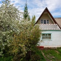 Аза окошком месяц май... :: Петр 