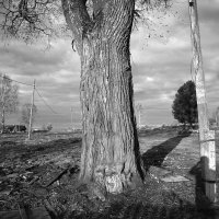 Назва. отсу. :: Денис Безногов