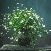 весенний :: Александра [-/