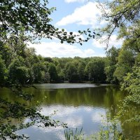 Майский пейзаж :: Рита Симонова Майский пейзаж :: Рита Симонова