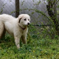 Алита :: Светлана