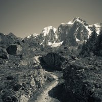 Дорогора в горы :: Вениамин Скородумов