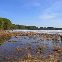 Вешние воды :: Галина Кан