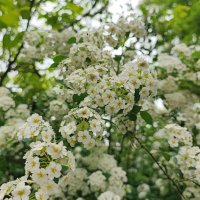 ,,, :: Сергей Тимоновский