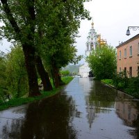 Майский дождь. :: Михаил Колосов 