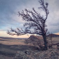 Манящий в даль простор. :: Николай Привалов