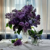 *** :: Валентина Богатко 