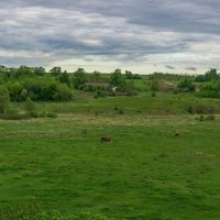 Сельский пейзаж :: Дмитрий Ряховский