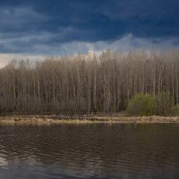 Aspen forest on the bank of the deep Bolshoy Puchkas River on a cloudy spring day | 1 :: Sergey Sonvar