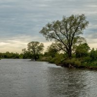 Утро на Клязьме 2 :: Андрей Дворников