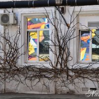 Творческое пространство. :: Наталья Вязигина