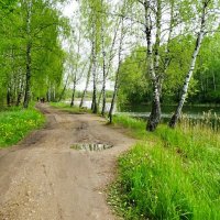 Весенний деревенский пейзаж :: Милешкин Владимир Алексеевич Весенний деревенский пейзаж :: Милешкин Владимир Алексеевич